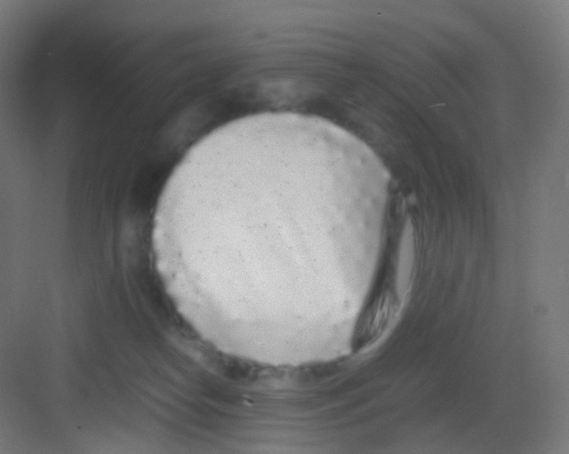 X0000081350182200702082304