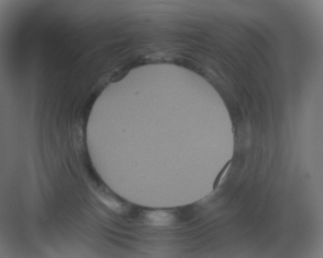 X0000081350183200702082304