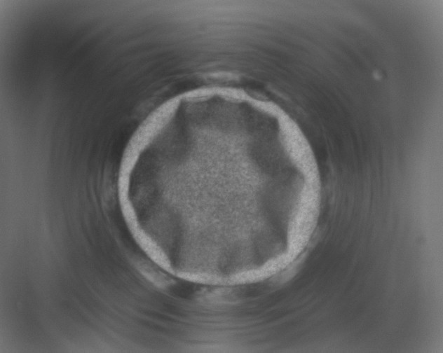 X0000081350186200702082304