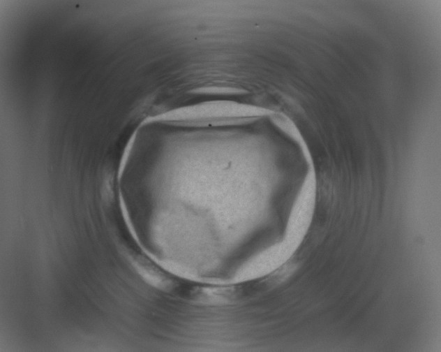 X0000081350188200702082304