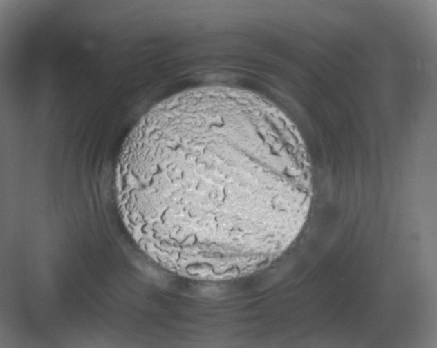 X0000081350189200702082304