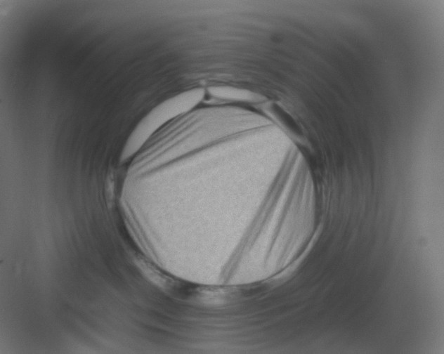 X0000081350190200702082304