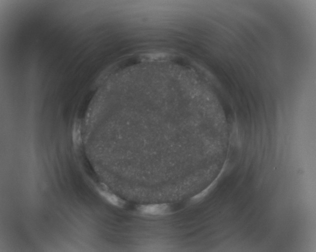 X0000081350191200702082304