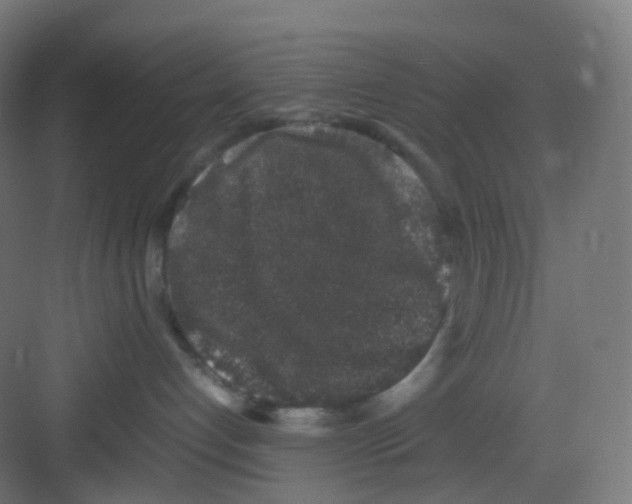 X0000081350192200702082304