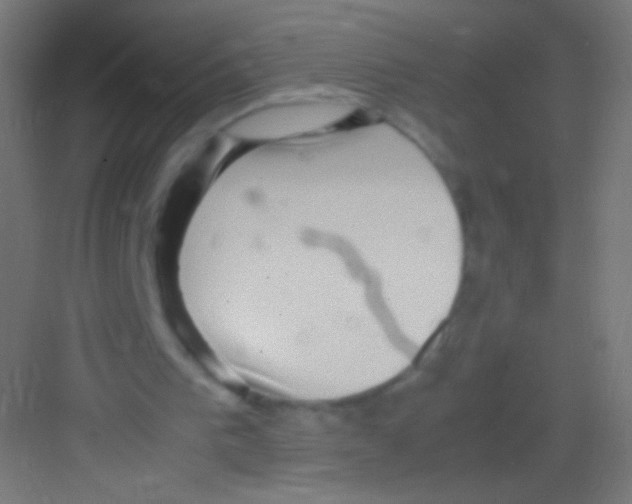 X0000081350193200702082303