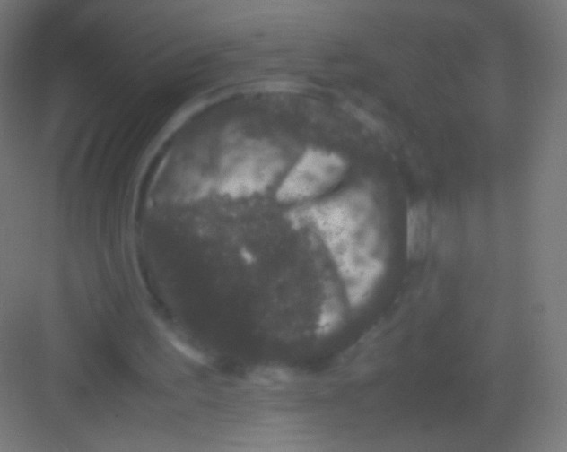 X0000081350195200702082303