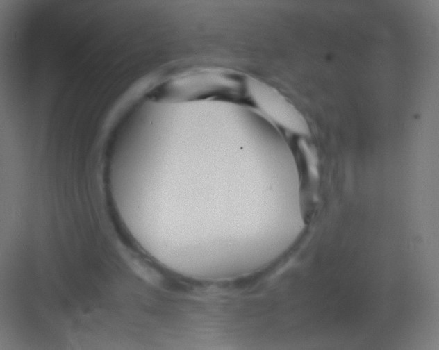 X0000081350197200702082303