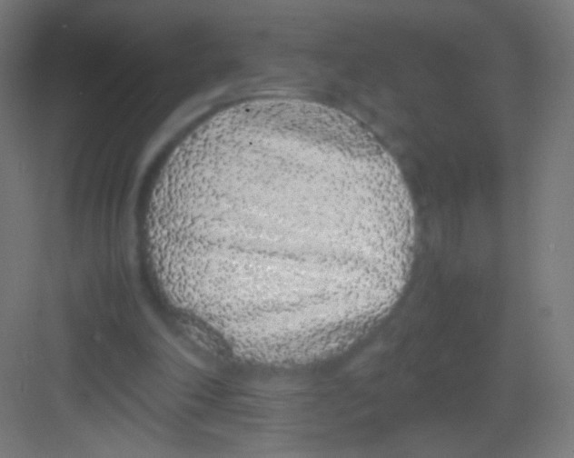 X0000081350198200702082303