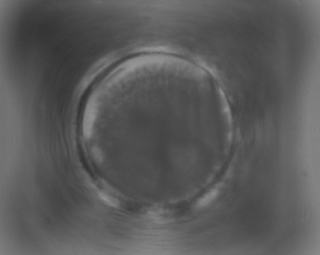 X0000081350199200702082303