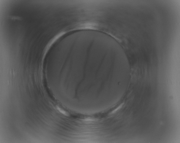 X0000081350200200702082303