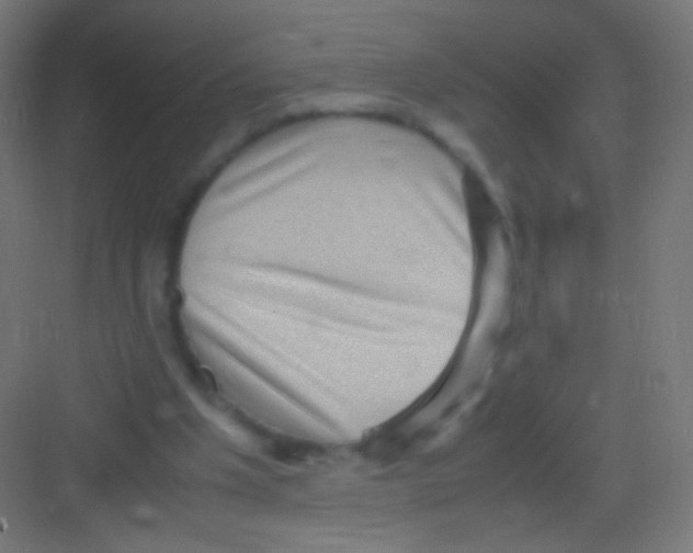 X0000081350201200702082303