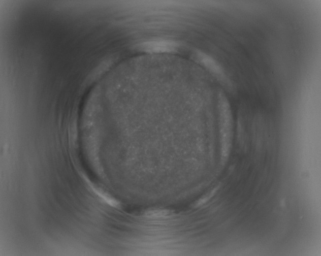 X0000081350202200702082303