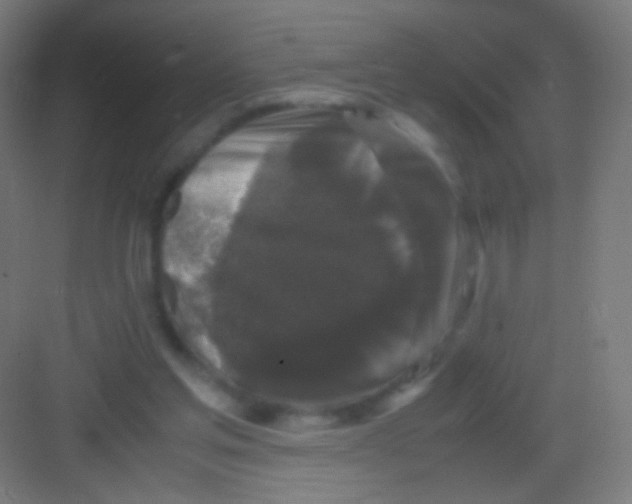 X0000081350205200702082303