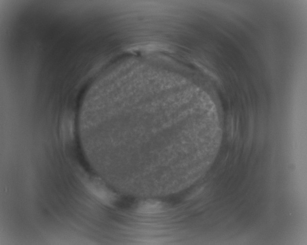 X0000081350206200702082303