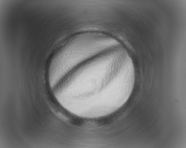 X0000081350207200702082303