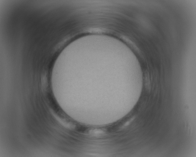 X0000081350208200702082303