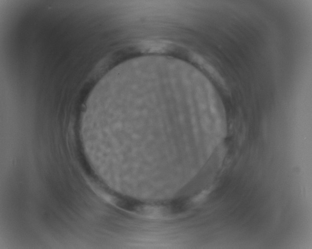 X0000081350209200702082303