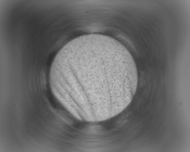 X0000081350210200702082303