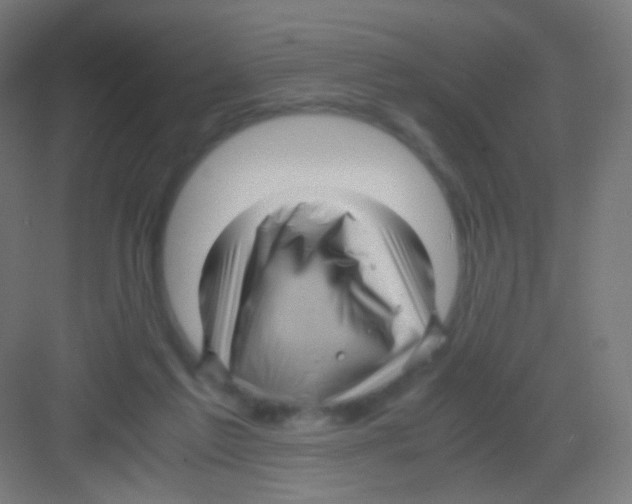 X0000081350213200702082303