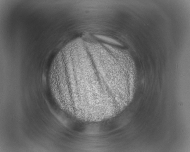 X0000081350214200702082303