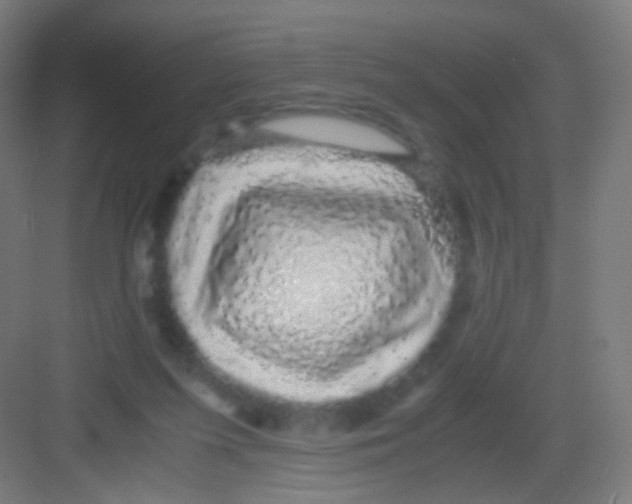 X0000081350215200702082303