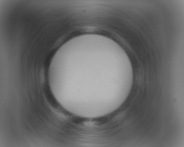 X0000081350216200702082303