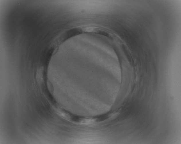 X0000081350217200702082303