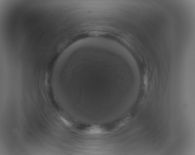 X0000081350219200702082303