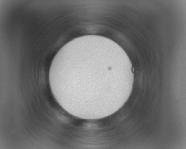 X0000081350220200702082303