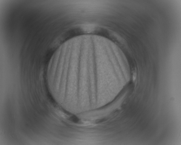 X0000081350221200702082303