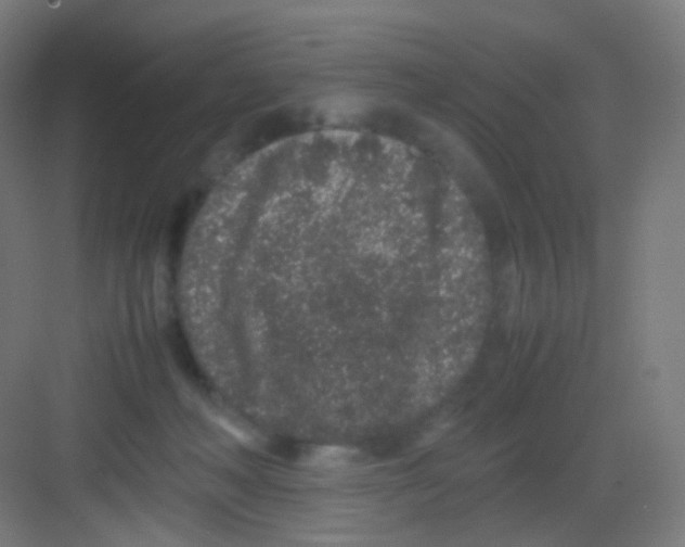 X0000081350222200702082303