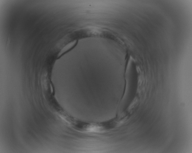 X0000081350223200702082303