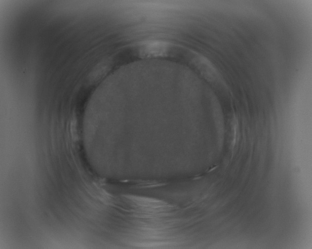 X0000081350224200702082303