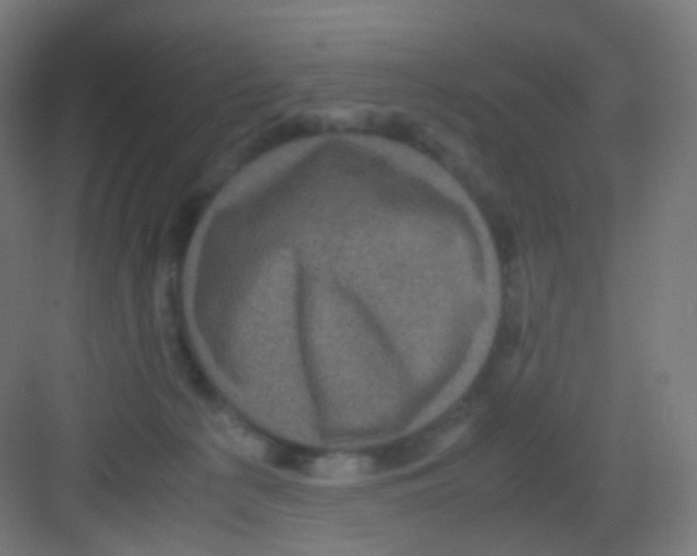 X0000081350225200702082303