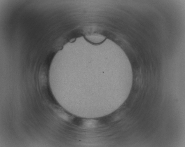 X0000081350226200702082303