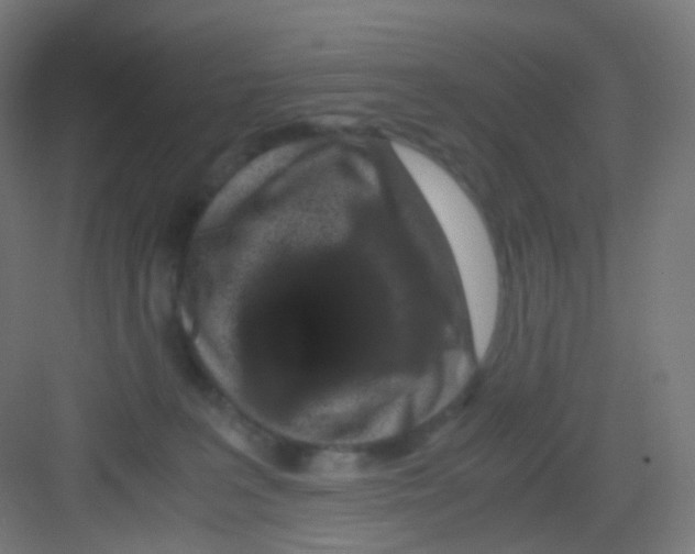 X0000081350227200702082303