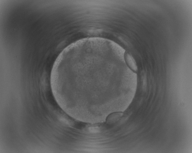 X0000081350228200702082303