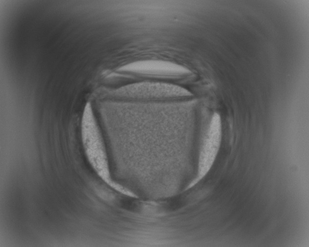 X0000081350229200702082303