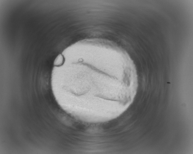 X0000081350230200702082303