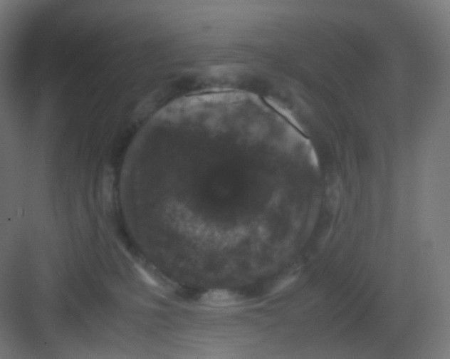 X0000081350231200702082303