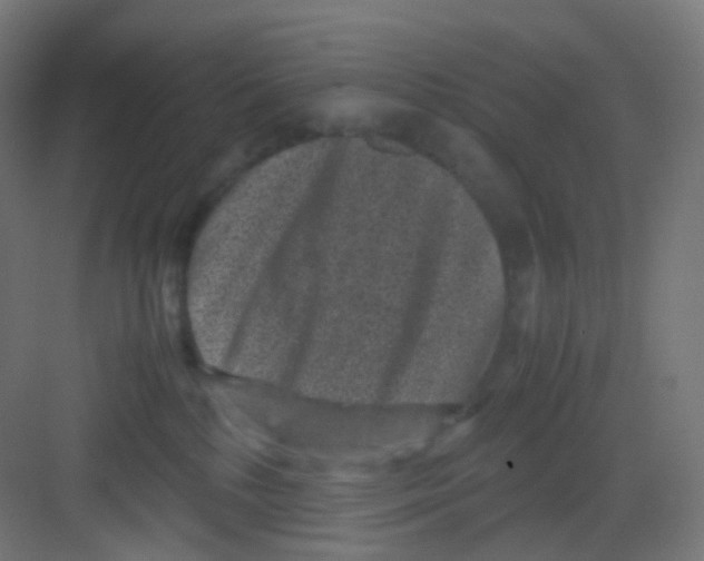 X0000081350232200702082303