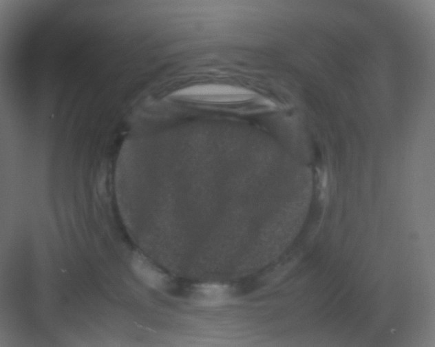 X0000081350233200702082303