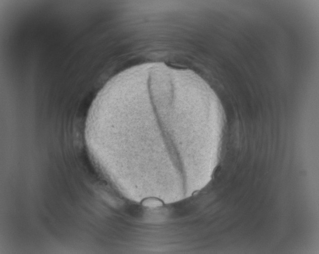 X0000081350234200702082303