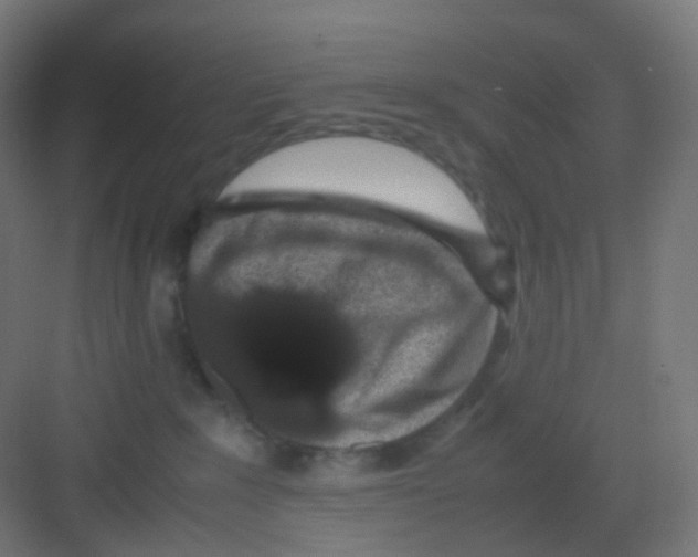 X0000081350235200702082303