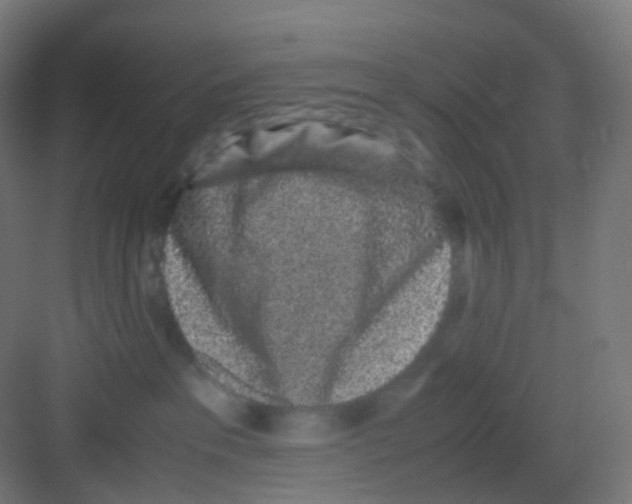 X0000081350237200702082302