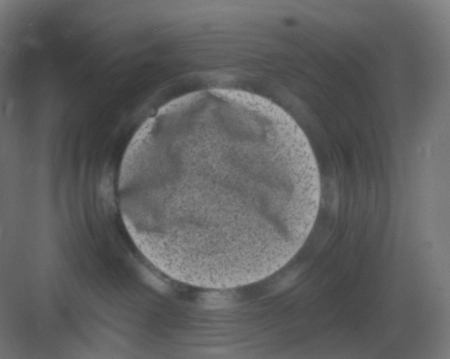 X0000081350238200702082302