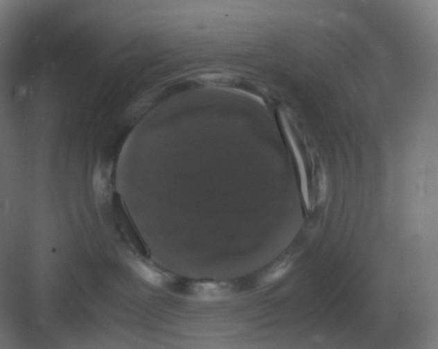 X0000081350239200702082302