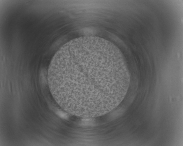 X0000081350240200702082302