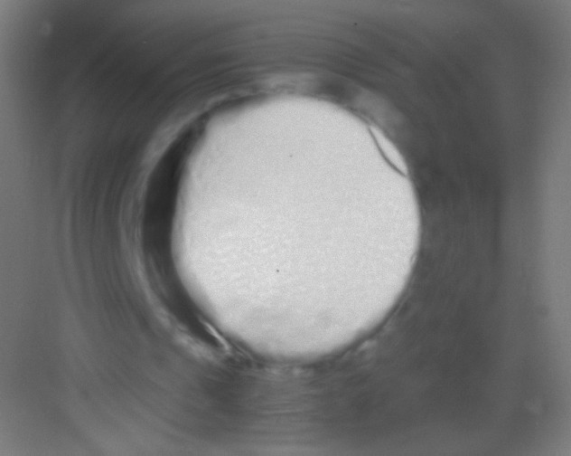 X0000081350241200702082302