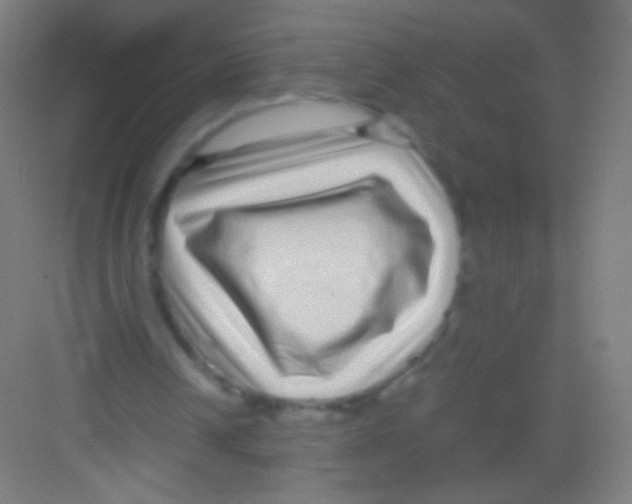 X0000081350242200702082302